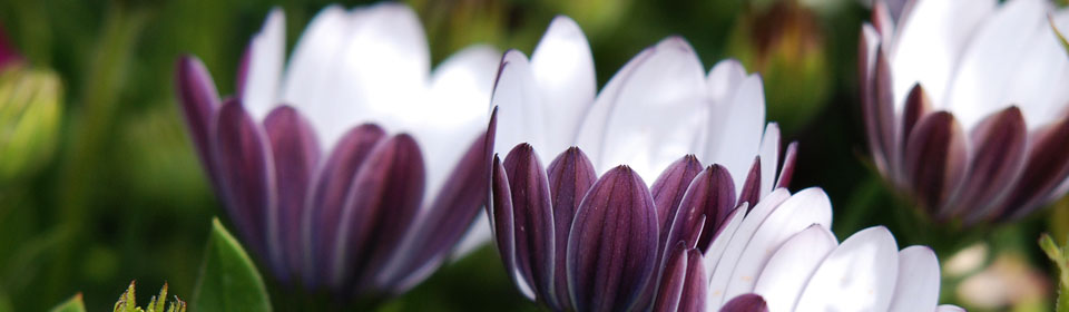 高效实用优质的中国移动防电话轰炸