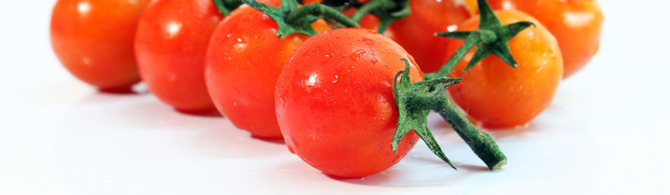 手机号码轰炸机免费版