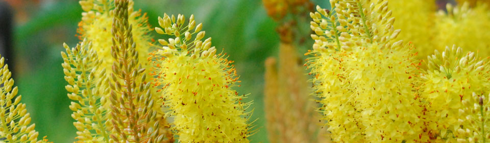 批发价格的中国移动防电话轰炸